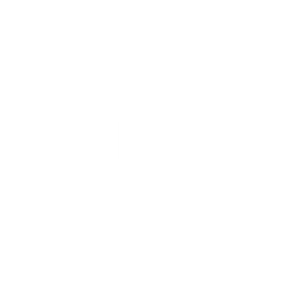 vse logo